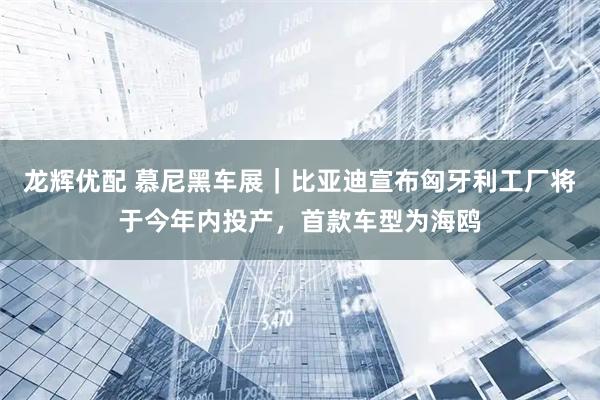龙辉优配 慕尼黑车展｜比亚迪宣布匈牙利工厂将于今年内投产，首款车型为海鸥