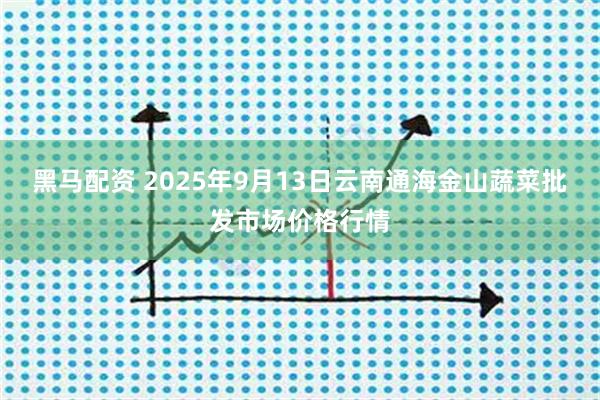 黑马配资 2025年9月13日云南通海金山蔬菜批发市场价格行情