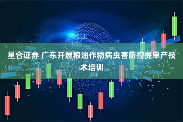 星合证券 广东开展粮油作物病虫害防控提单产技术培训