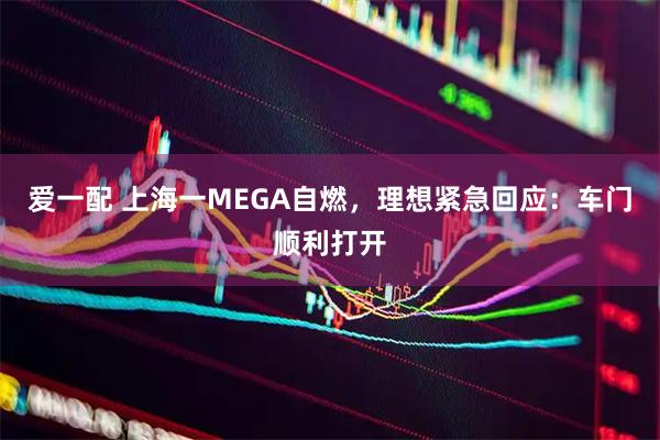 爱一配 上海一MEGA自燃，理想紧急回应：车门顺利打开