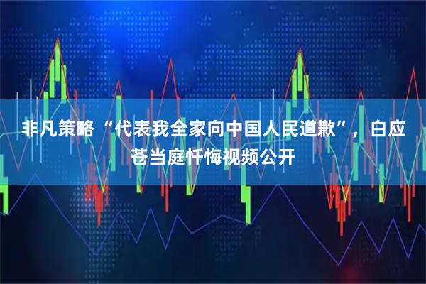 非凡策略 “代表我全家向中国人民道歉”，白应苍当庭忏悔视频公开