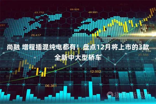 尚融 增程插混纯电都有！盘点12月将上市的3款全新中大型轿车
