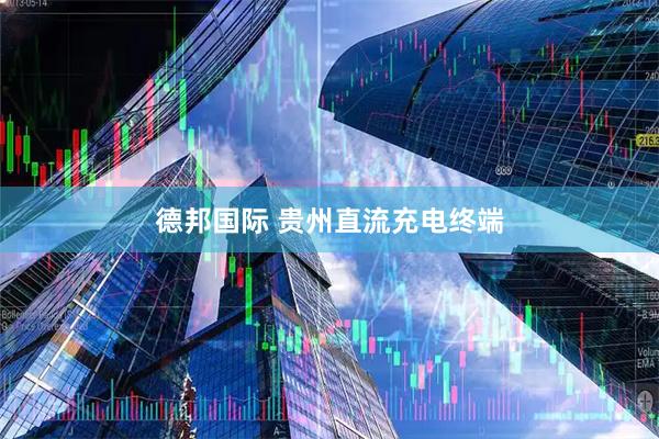 德邦国际 贵州直流充电终端