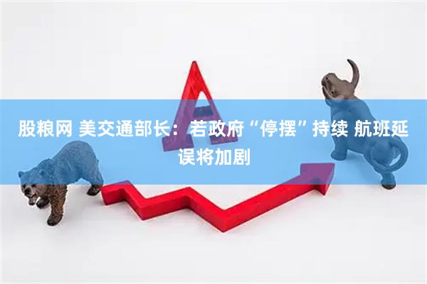 股粮网 美交通部长：若政府“停摆”持续 航班延误将加剧